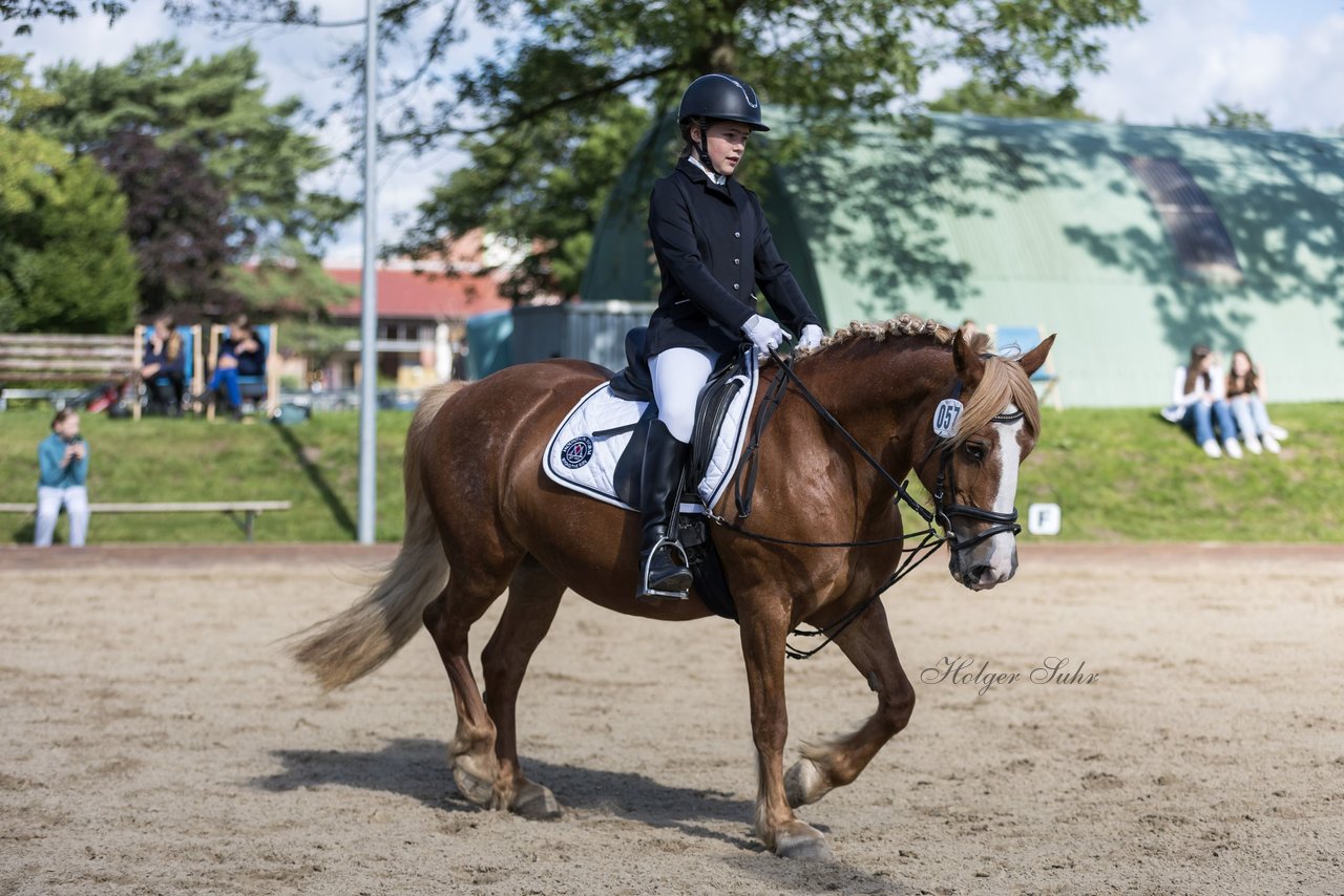 Bild 72 - Pony Akademie Turnier